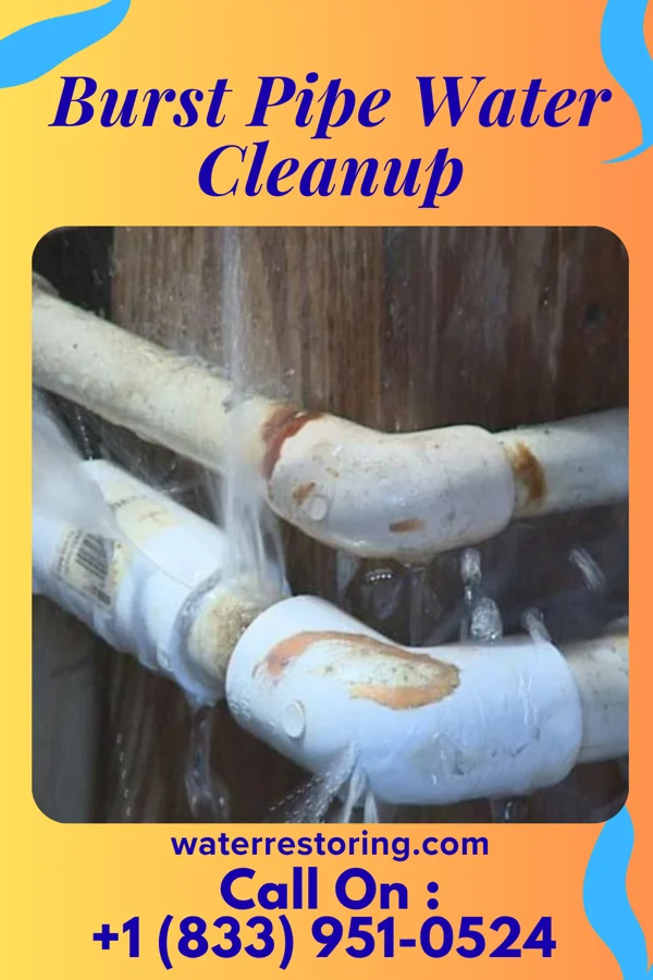 Burst Pipe Water Cleanup in Barkeyville, PA