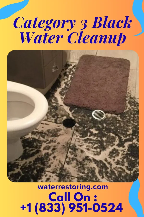 Category 3 Black Water Cleanup in Barkeyville, PA
