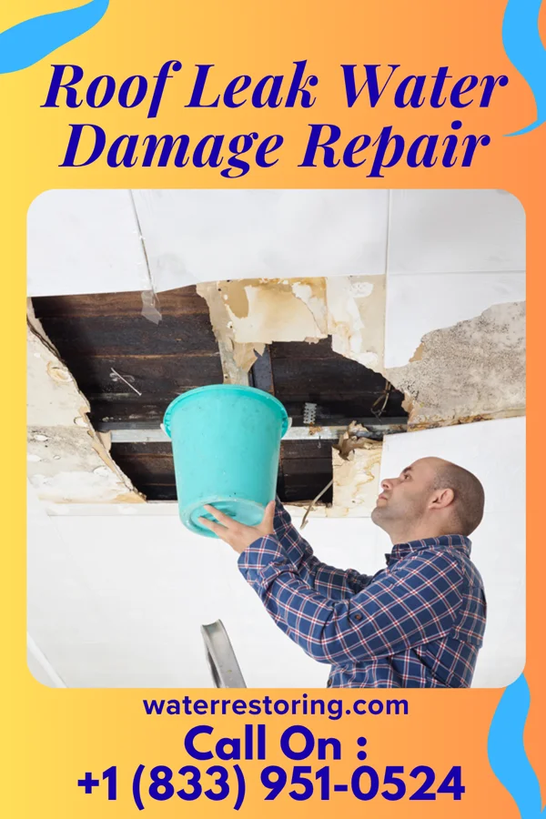 Roof Leak Water Damage Repair in Barkeyville, PA