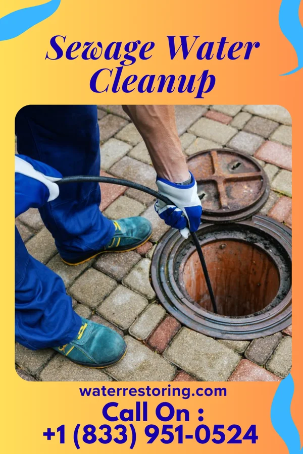Sewage Water Cleanup in Barkeyville, PA
