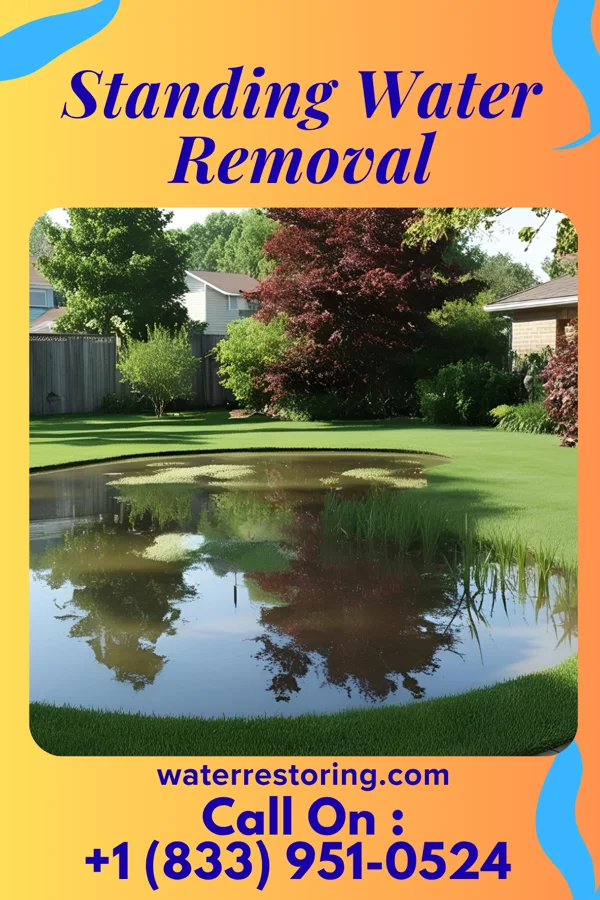 Standing Water Removal in Barkeyville, PA